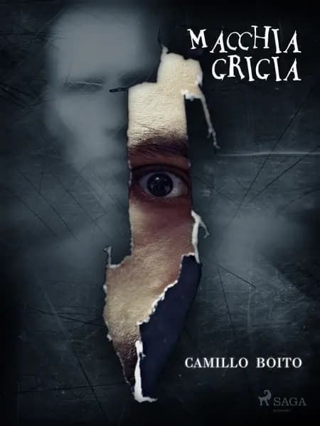 Macchia grigia af Camillo Boito