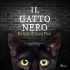Il gatto nero
