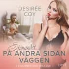 Stönandet på andra sidan väggen - erotisk novell af Desirée Coy