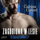 Czarci dom 3: Zagubiona w lesie – seria erotyczna