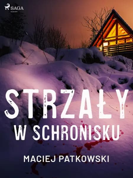 Strzały w schronisku af Maciej Patkowski