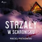 Strzały w schronisku af Maciej Patkowski