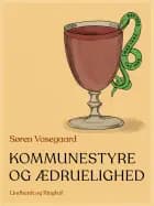 Kommunestyre og ædruelighed