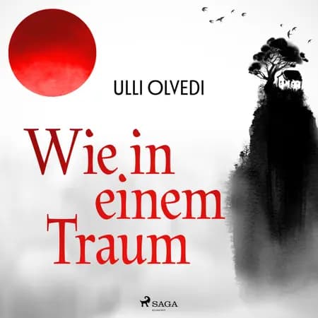 Wie in einem Traum af Ulli Olvedi