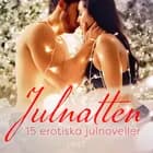Julnatten - 15 erotiska julnoveller af Shailene Craig, Camille Bech og Desirée Coy