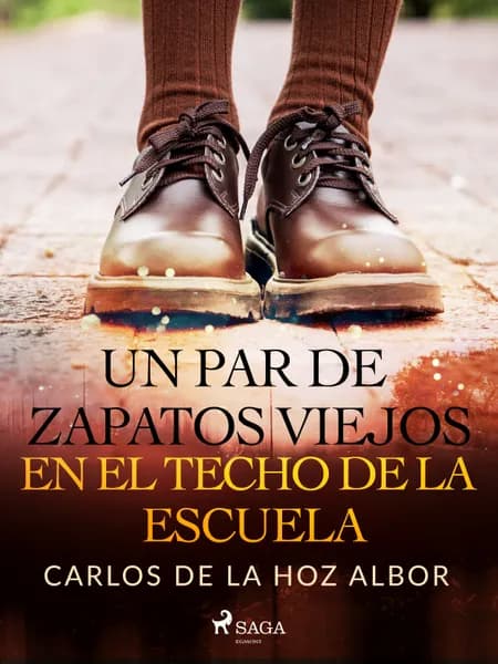 Un par de zapatos viejos en el techo de la escuela af Carlos Adolfo De La Hoz Albor