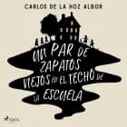 Un par de zapatos viejos en el techo de la escuela