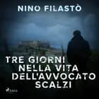 Tre giorni nella vita dell'avvocato Scalzi af Nino Filastò
