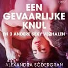 Een gevaarlijke knul en 3 andere sexy verhalen