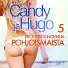 Candy ja Hugo - 5 eroottista novellia Pohjoismaista af Alexandria Varg, Lisa Vild og Elena Lund