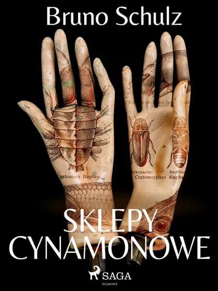 Sklepy cynamonowe - zbiór af Bruno Schulz