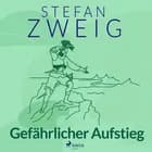 Gefährlicher Aufstieg af Stefan Zweig