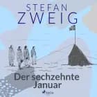 Der sechzehnte Januar af Stefan Zweig
