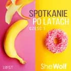 Spotkanie po latach 1 – opowiadanie erotyczne