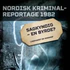 Sagkyndig - en byrde? 