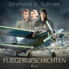 Fliegergeschichten