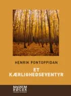 Et kærlighedseventyr (Storskrift)