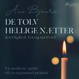 De tolv hellige nætter: Kærlighed, lys og nærvær - en moderne guide til en urgammel praksis af Ann Bjerre