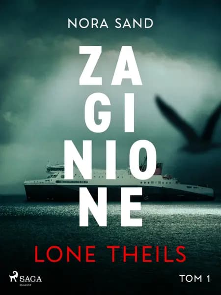 Nora Sand. Tom 1: Zaginione af Lone Theils