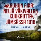 Kauhun aika: neljä väkivallan kuukautta Jämsässä 1918 af Jukka Rislakki