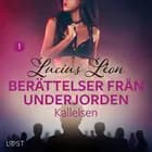 Kallelsen - Berättelser från underjorden 1 af Lucius Léon