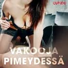 Vakooja pimeydessä – eroottinen novelli af Cupido