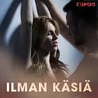 Ilman käsiä – eroottinen novelli