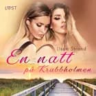 En natt på Krabbholmen - erotisk feelgood af Lisen Strand