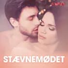 Stævnemødet - erotiske noveller