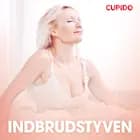 Indbrudstyven - erotiske noveller