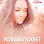 Forårstoget - erotiske noveller af Cupido