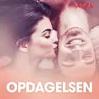 Opdagelsen - erotiske noveller