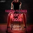 Fabryka Poziomek: Glory hole – opowiadanie erotyczne