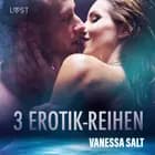 3 Erotik-Reihen von Vanessa Salt af Vanessa Salt