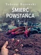 Śmierć powstańca af Tadeusz Borowski