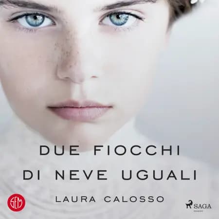 Due fiocchi di neve uguali af Laura Calosso