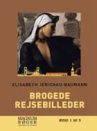 Brogede rejsebilleder (Storskrift)