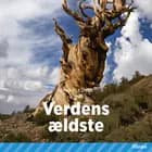 Verdens ældste af Maja Plesner
