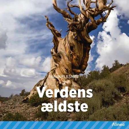 Verdens ældste af Maja Plesner
