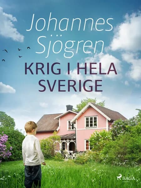 Krig i hela Sverige af Johannes Sjögren