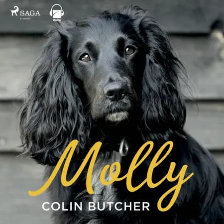 Molly af Collin Butcher