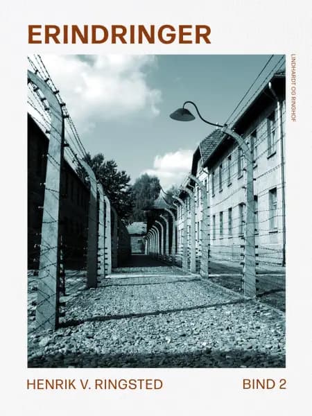 Erindringer. Bind 2 af Henrik V. Ringsted