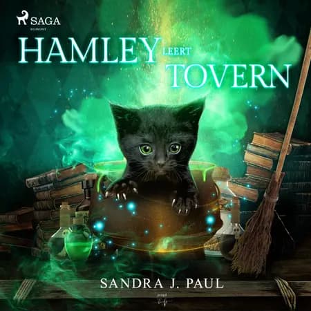 Hamley leert toveren af Sandra J. Paul