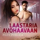 Laastaria avohaavaan - eroottinen novelli af Pilvi Pihlaja