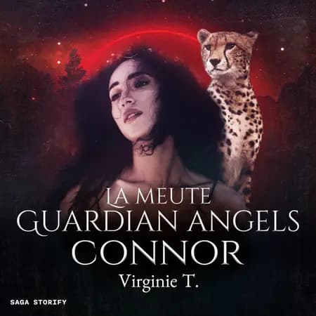 Connor af Virginie T.