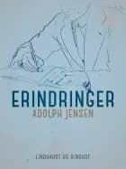 Erindringer