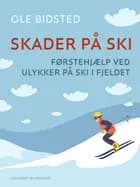 Skader på ski. Førstehjælp ved ulykker på ski i fjeldet af Ole Bidsted