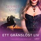 Ett gränslöst liv - Erotisk novell af Desirée Coy