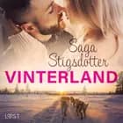Vinterland - Erotisk novell
