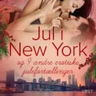 Jul i New York - og 9 andre erotiske julefortællinger af LUST authors